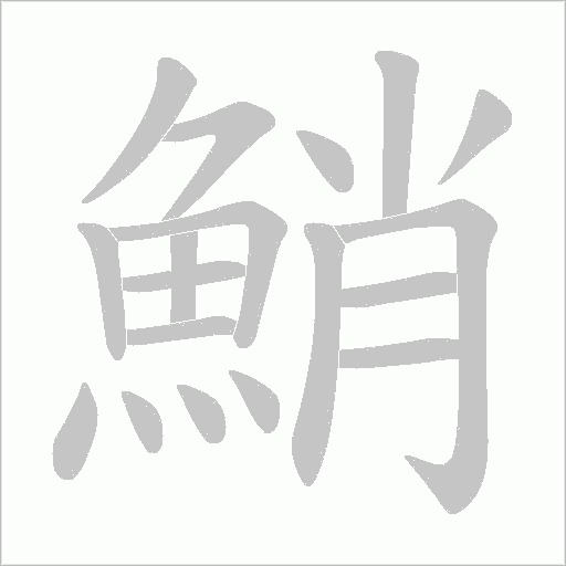 鮹笔顺动图