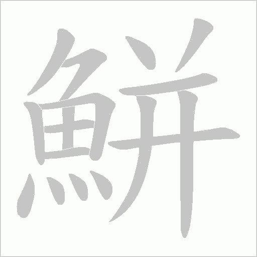 鮩笔顺动图