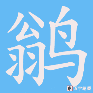 鹟笔顺动图
