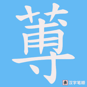 蒪笔顺动图
