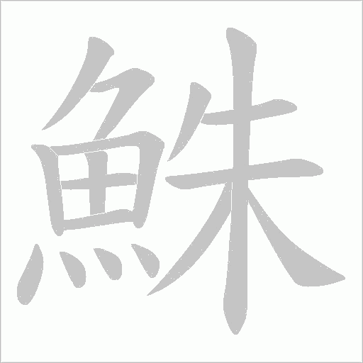 鮢笔顺动图