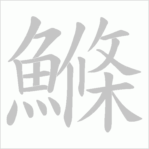 鰷笔顺动图