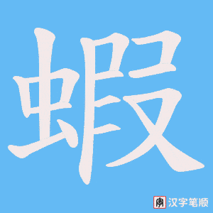 蝦笔顺动图